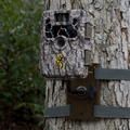 Browning Trail Camera Tree Mount
