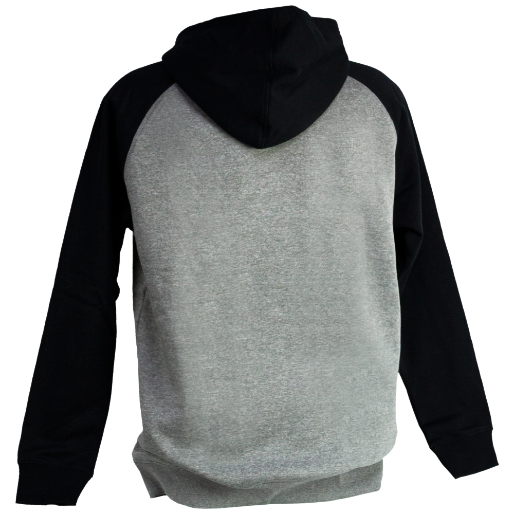 CZ branded hoodie back view