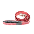 Red dog leash with a silver clasp on a white background