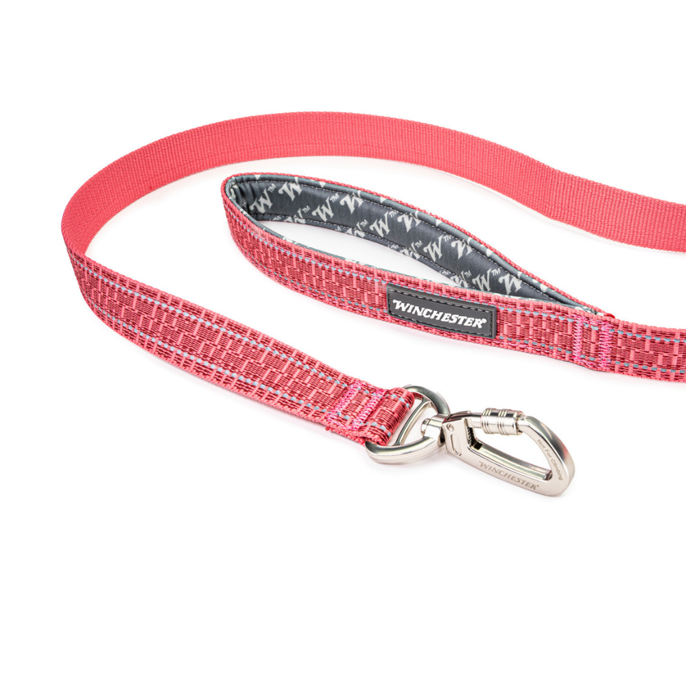 Pink dog leash with a silver clip on a white background