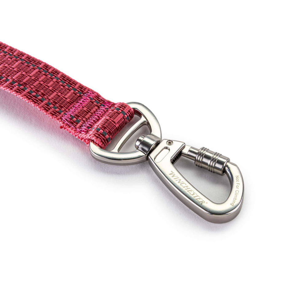 Pink dog leash with silver metal clip on a white background