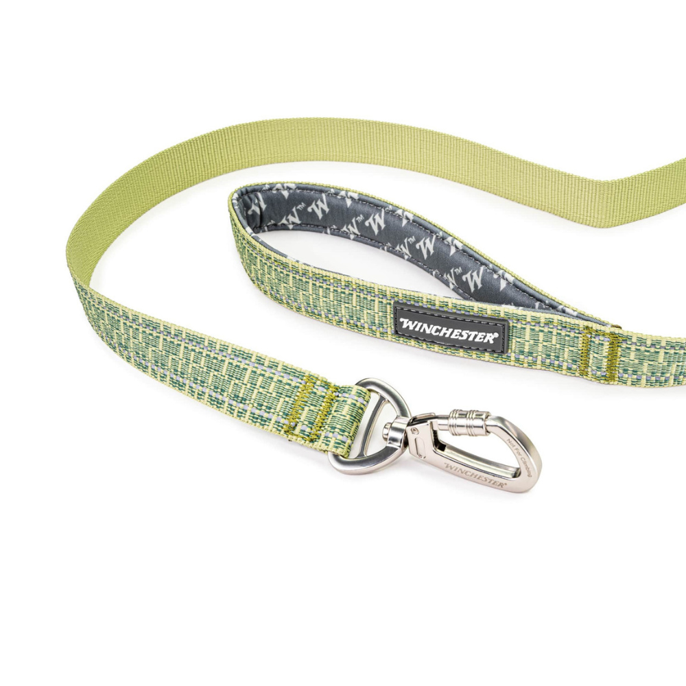 Dog leash with green pattern and silver clip on a white background