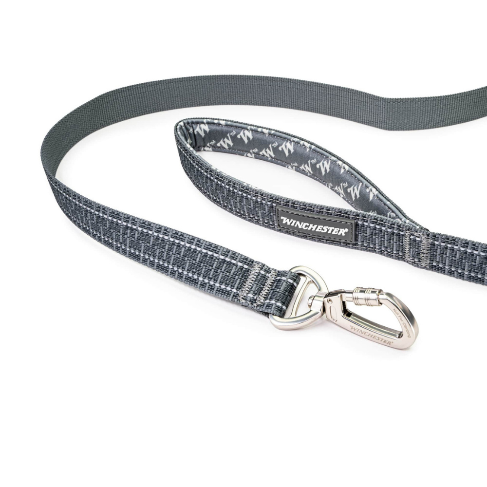 Dog leash with a clip on a white background