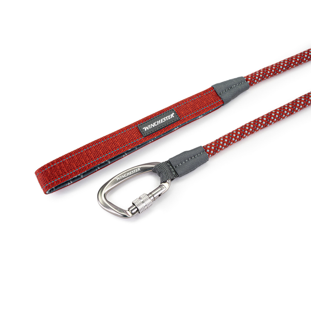 Red dog leash with gray clip on a white background