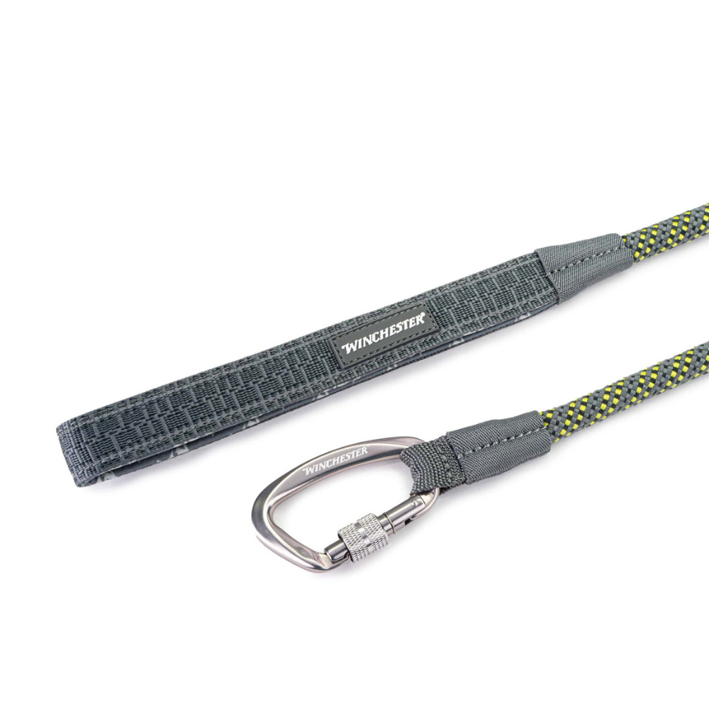 Gray dog leash with carabiner on a white background