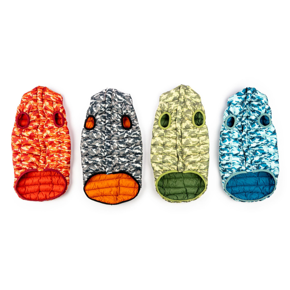 Four colorful dog coats with different patterns on a white background
