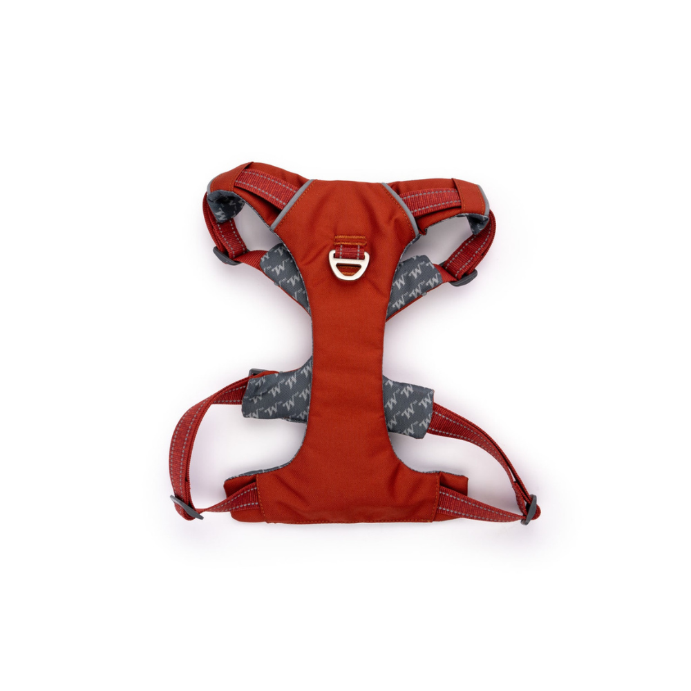 Winchester No Pull Padded Dog Harness