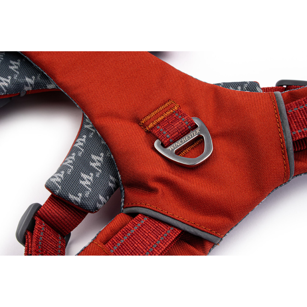 Close-up of a red dog harness with a metal buckle on a white background