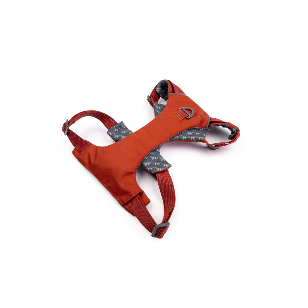 Orange dog harness with gray pattern on a white background