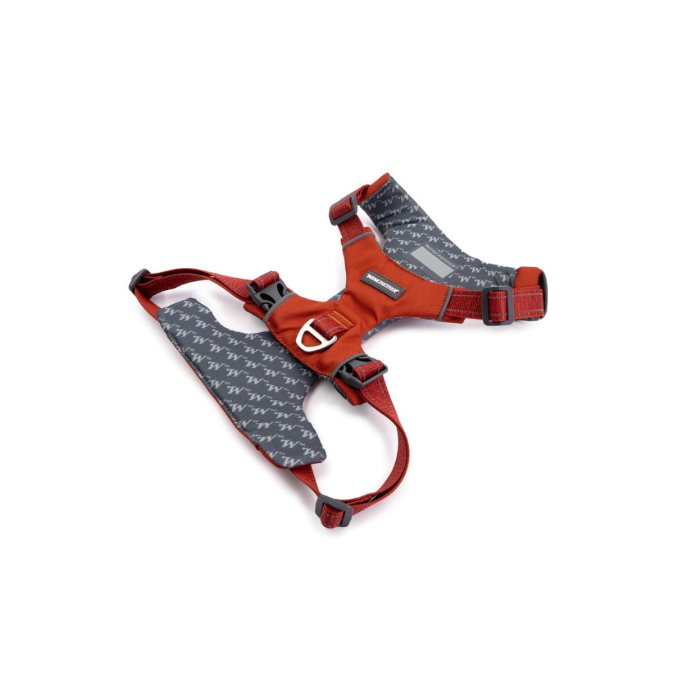 Red and gray dog harness on a white background