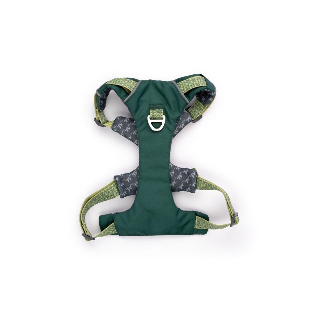 Green dog harness with gray accents on a white background