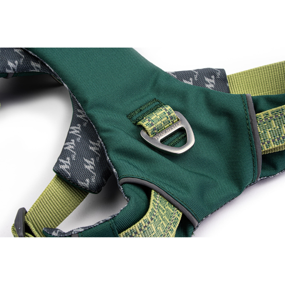 Green and gray dog harness with a metal buckle on a white background