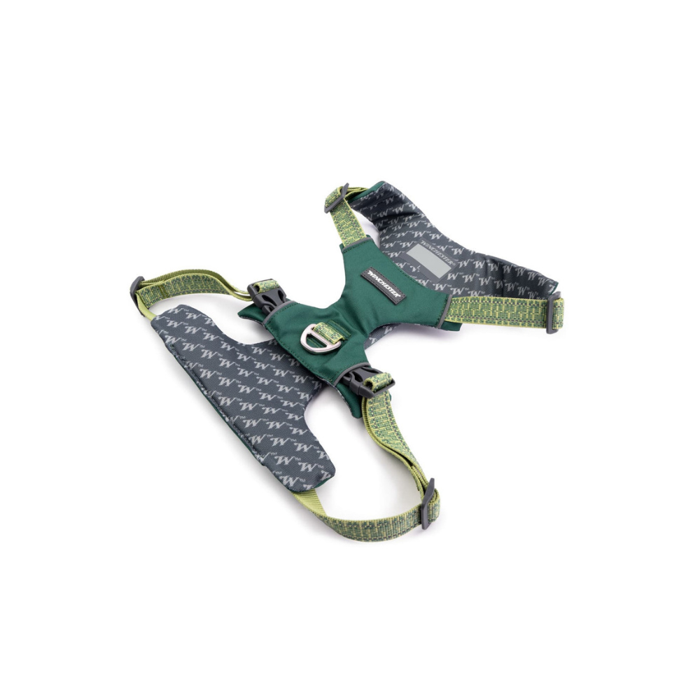 Green and gray dog harness on a white background