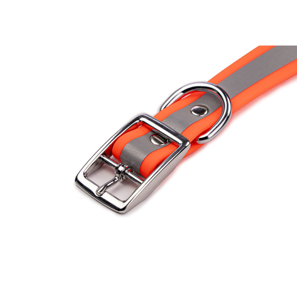 King Buck reflective dog collar showing reflective strip detail