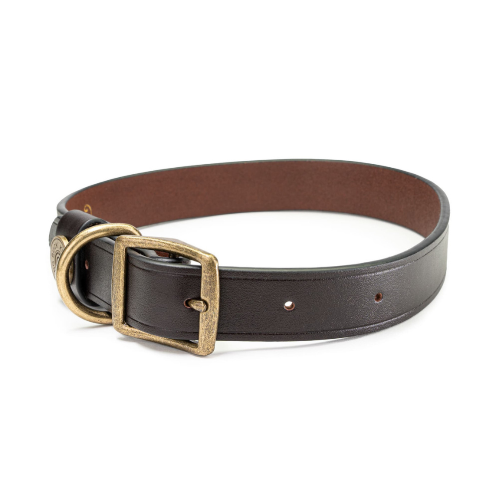 King Buck Premium Leather D Ring Dog Collar