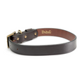 King Buck premium leather D-ring dog collar brown front view