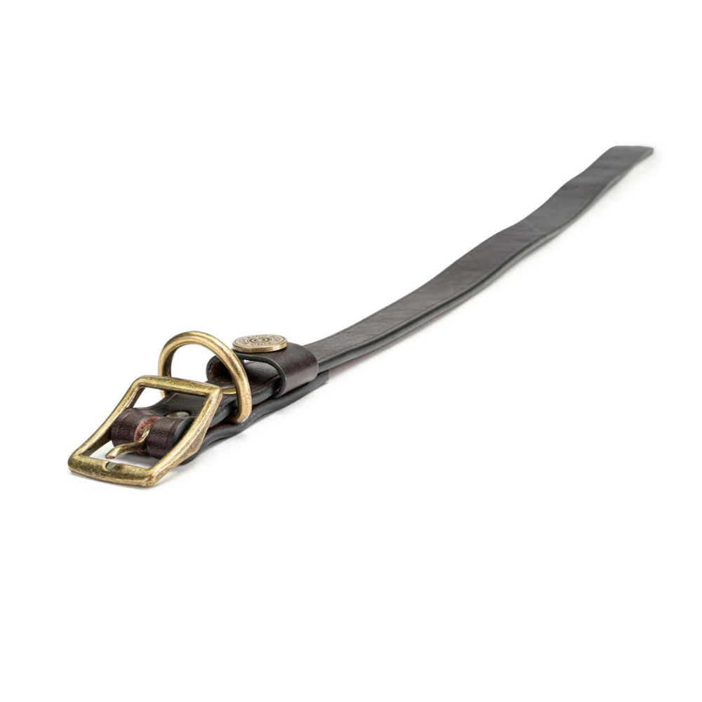 King Buck leather dog collar showing buckle and adjustment holes