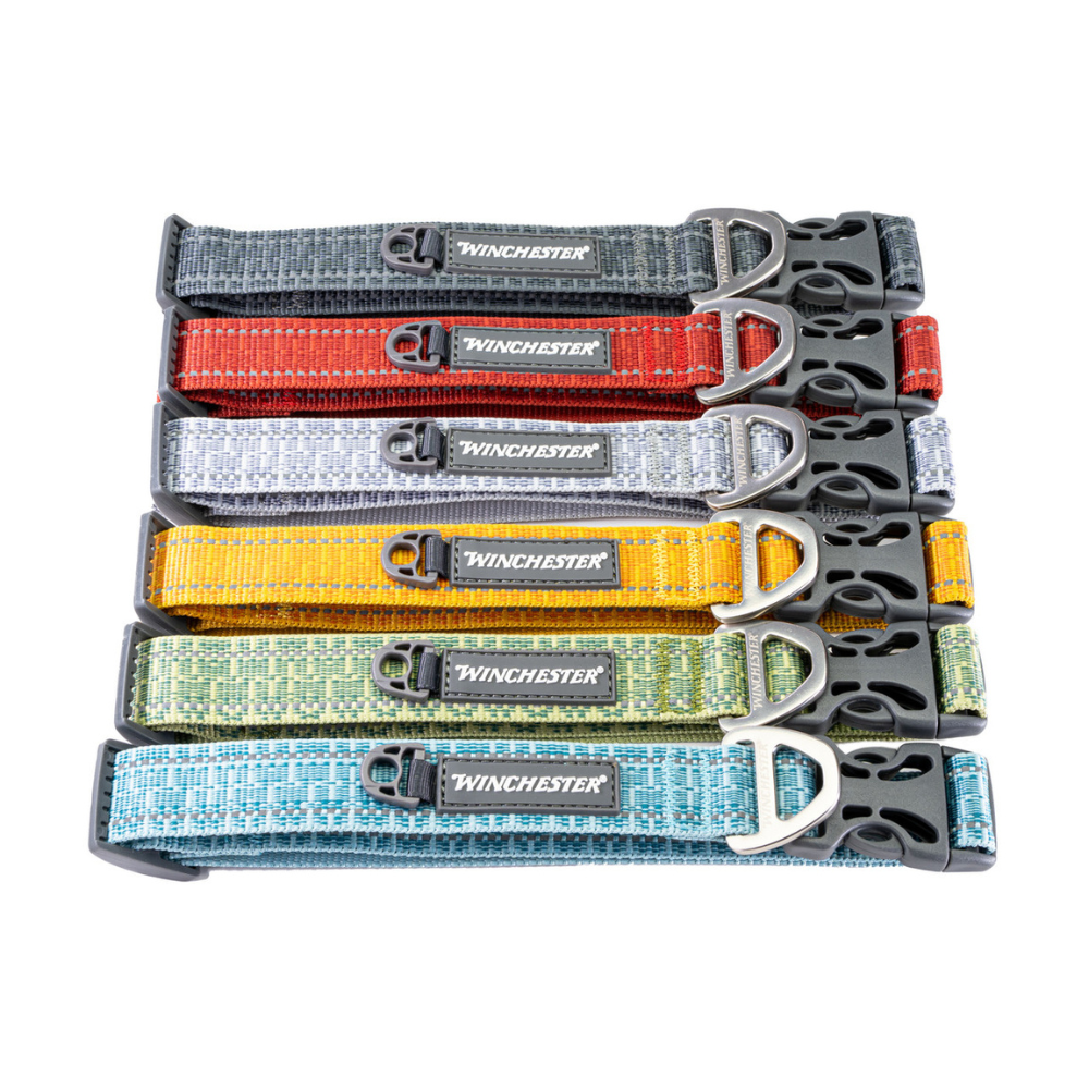 Set of Winchester dog collars in various colors on a white background