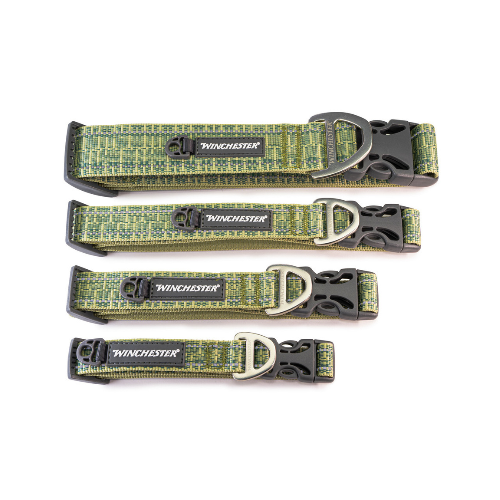 Four green dog collars with Winchester branding on a white background