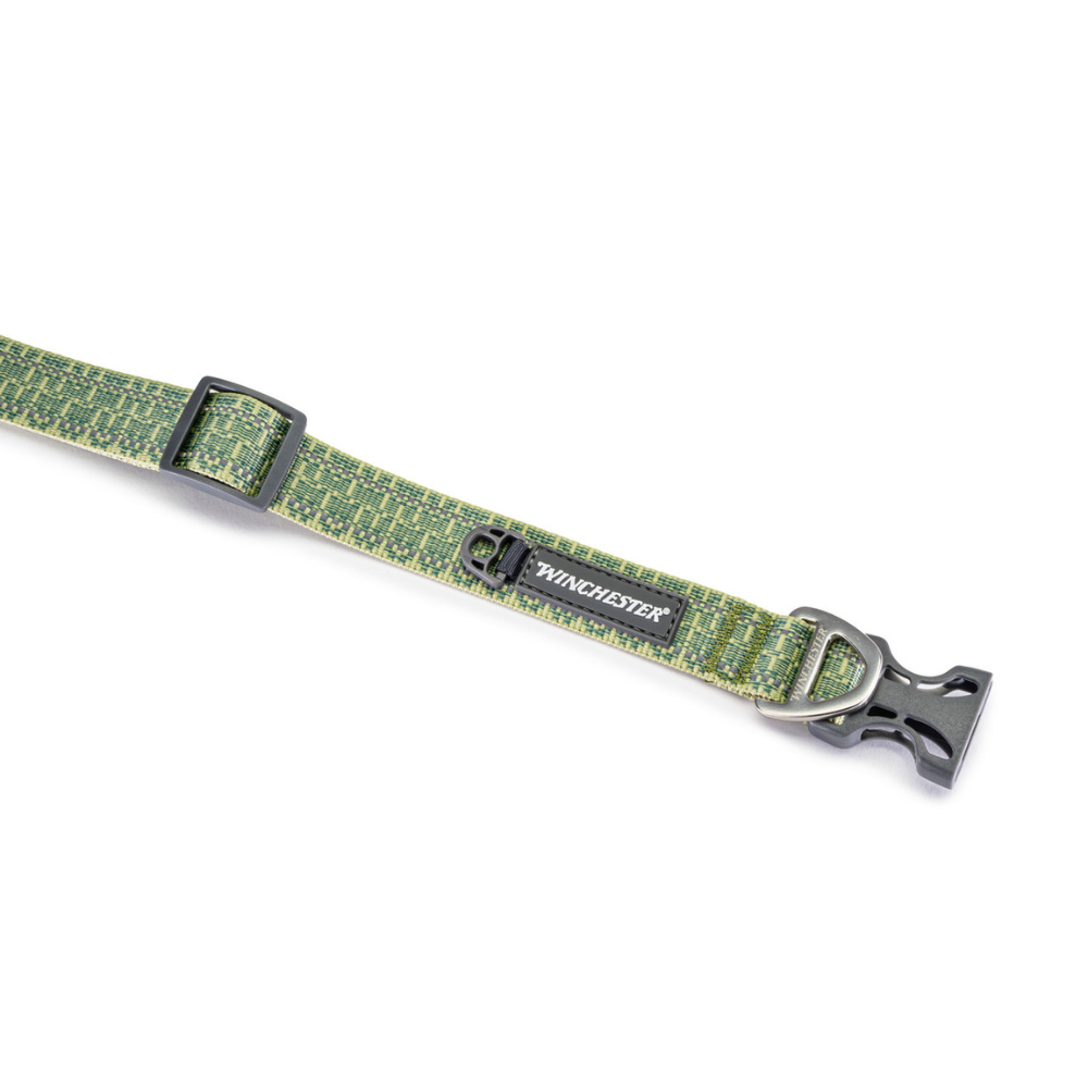 Green dog collar with black buckle and 'Winchester' branding on a white background