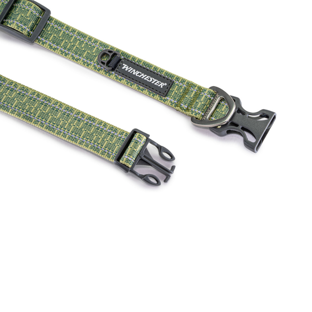 Green and black patterned dog collar with metal buckle on a white background