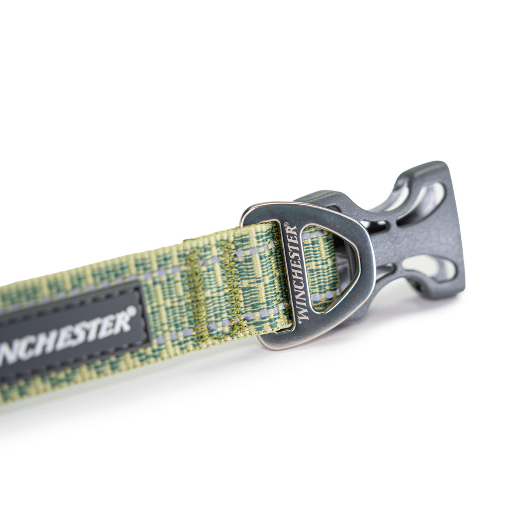 Green dog collar with Winchester branding on a white background
