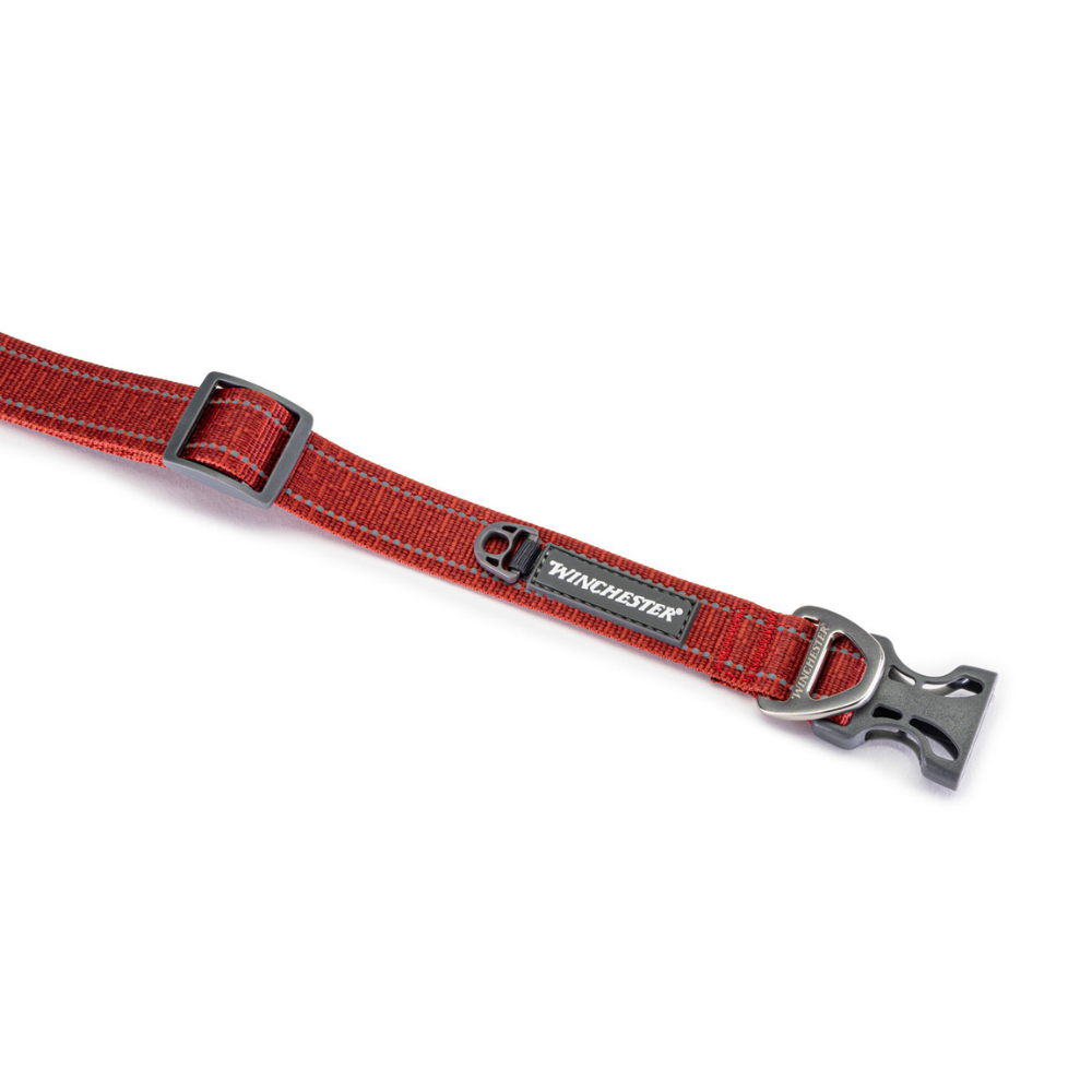 Red dog collar with silver buckle on a white background