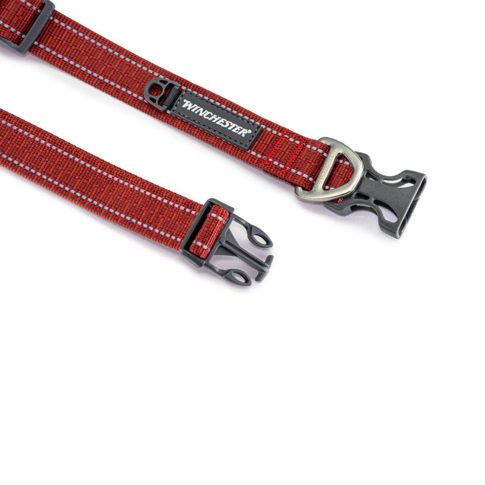 Red dog collar with black buckle and Winchester branding on a white background