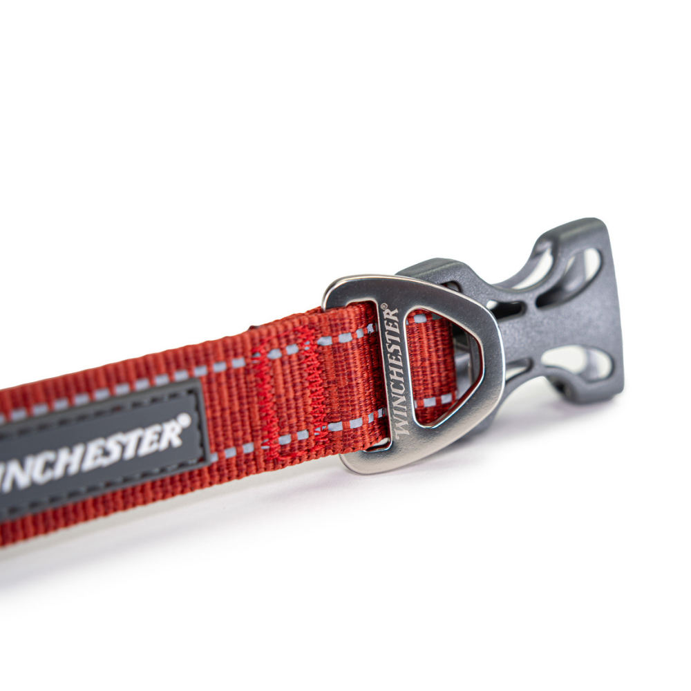 Red dog collar with silver buckle on a white background