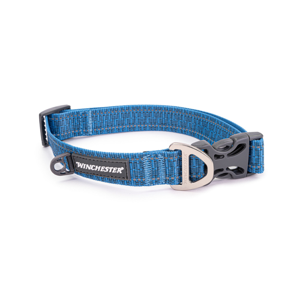 Winchester Ombre Dog Collar