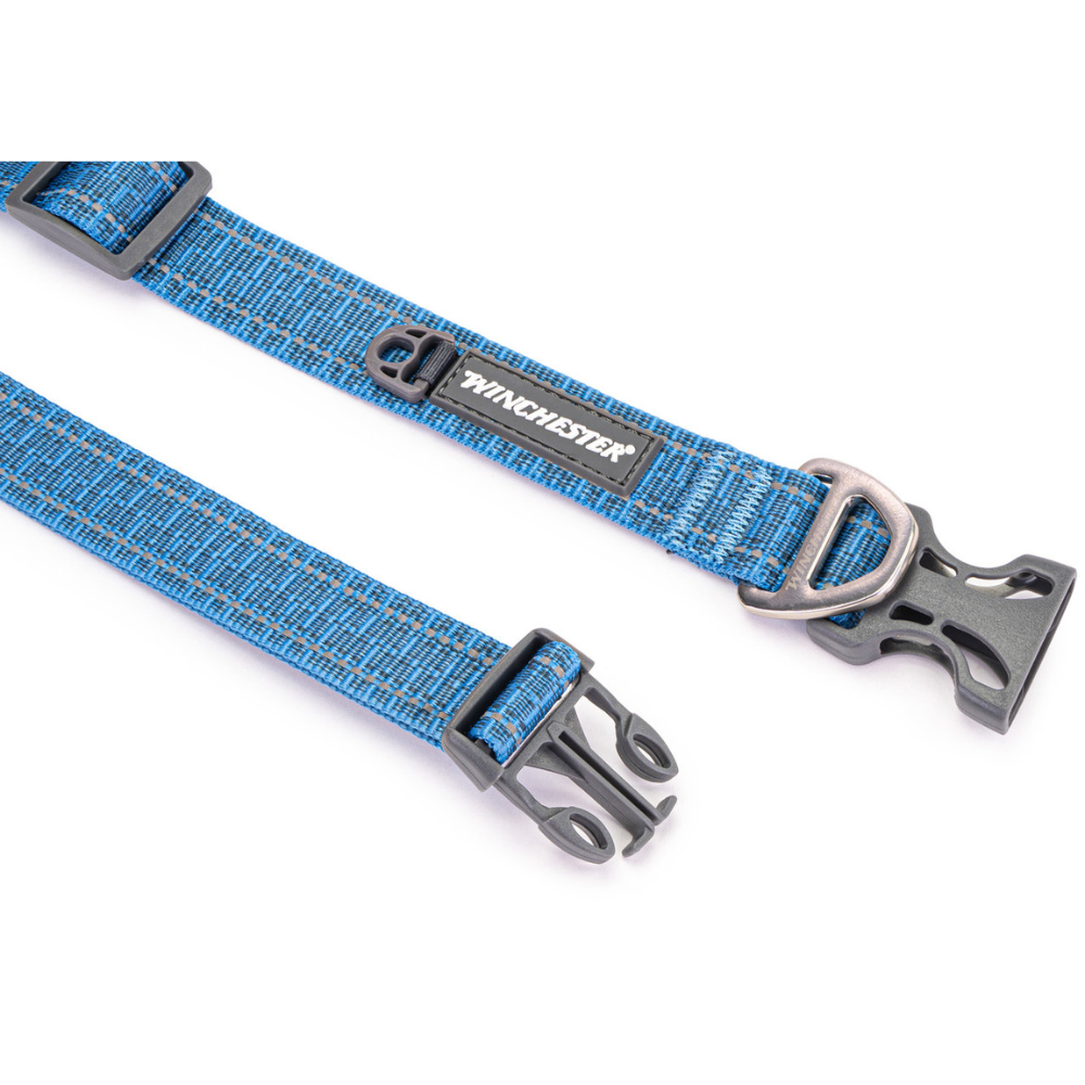 Blue dog collar with metal buckle and Winchester branding on a white background