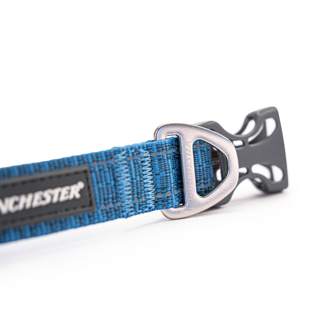 Blue dog collar with a silver buckle on a white background