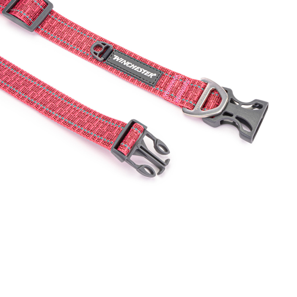 Red dog leash with gray metal clips on a white background
