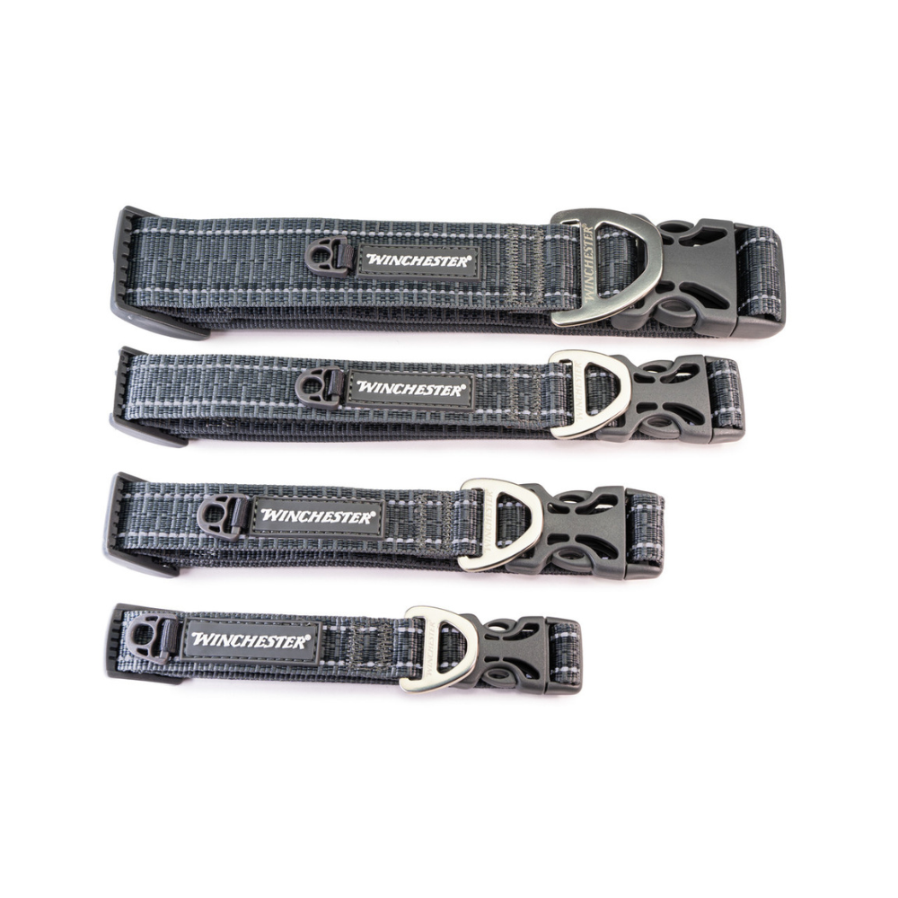 Four gray dog collars with silver buckles and 'Winchester' branding on a white background.