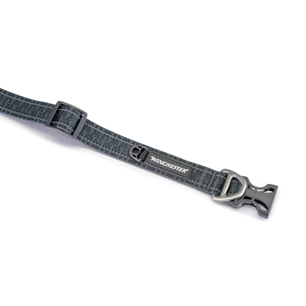 Gray dog collar with metal buckle on a white background