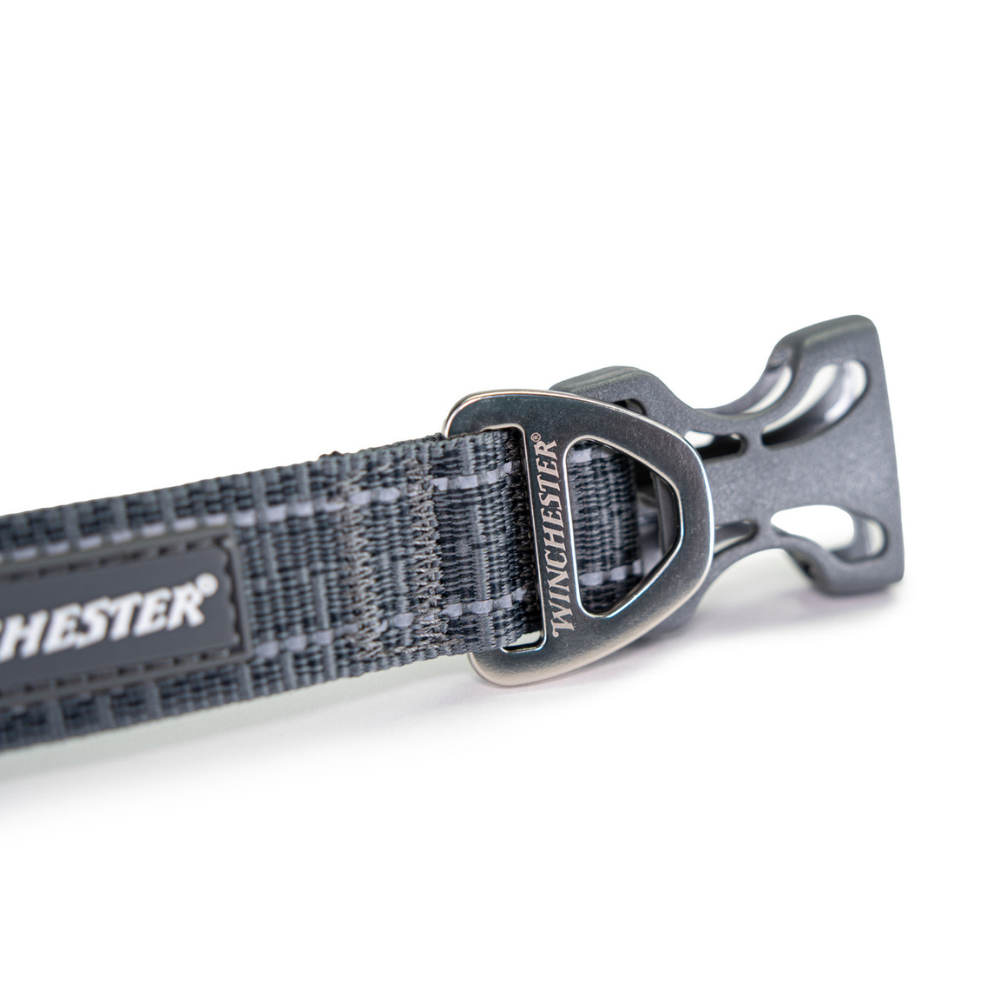 Close-up of a Winchester dog collar with a metal buckle on a white background