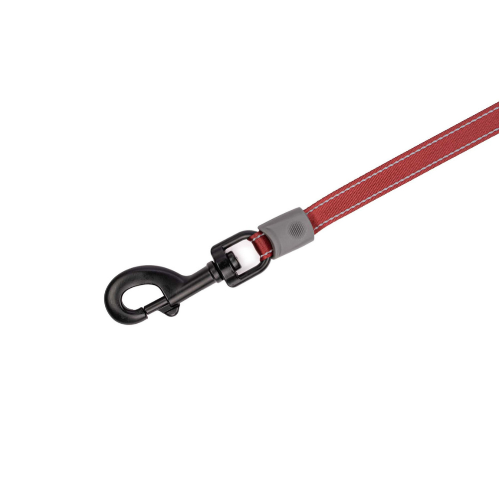 Red dog leash with a black clip on a white background