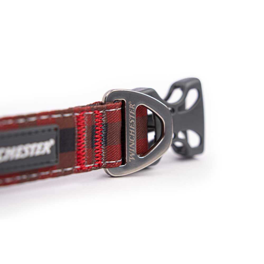 Red and gray dog collar with a metal buckle on a white background