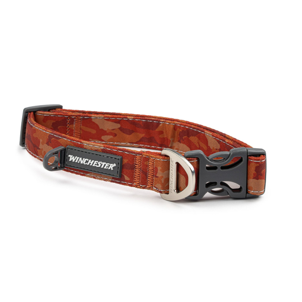 Camouflage dog collar with Winchester logo on a white background