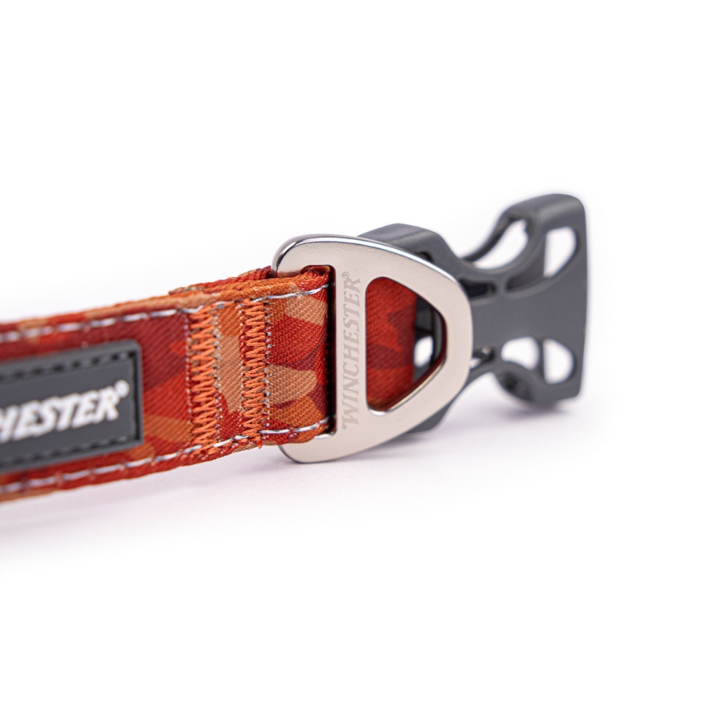 Dog collar with orange strap and metal buckle on a white background