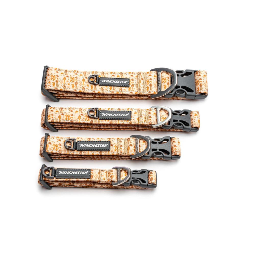 Winchester Wild West dog collar showing western pattern detail