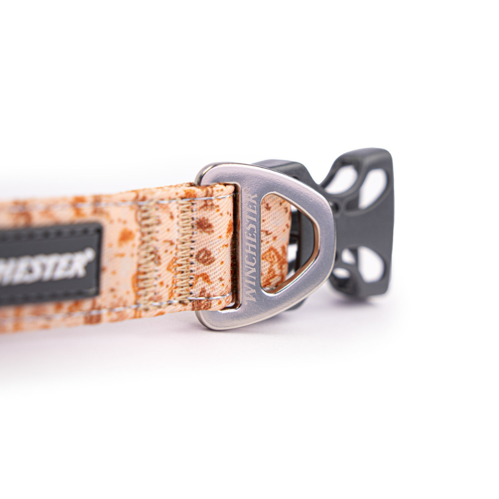 Winchester Wild West collar showing buckle and D-ring