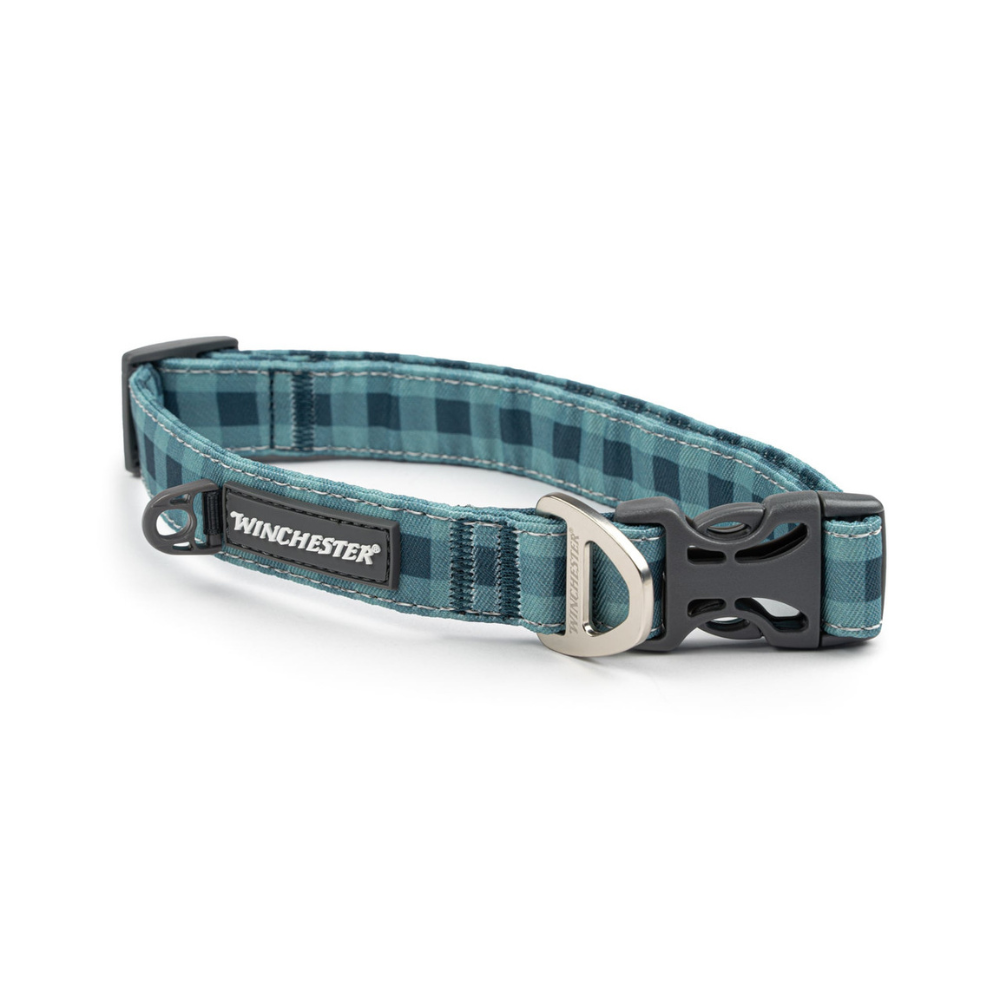 Teal plaid dog collar with Winchester logo on a white background