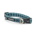 Teal plaid dog collar with Winchester logo on a white background