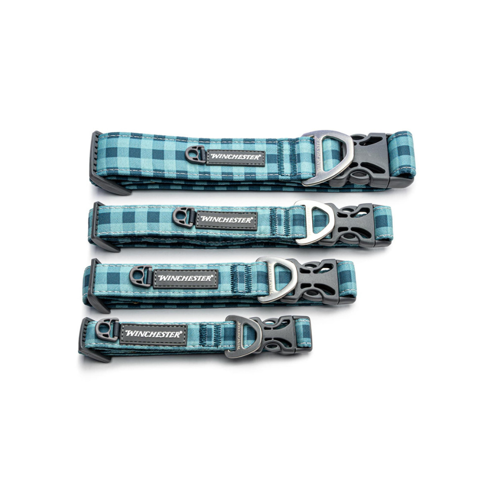 Set of four blue plaid dog collars with silver buckles on a white background