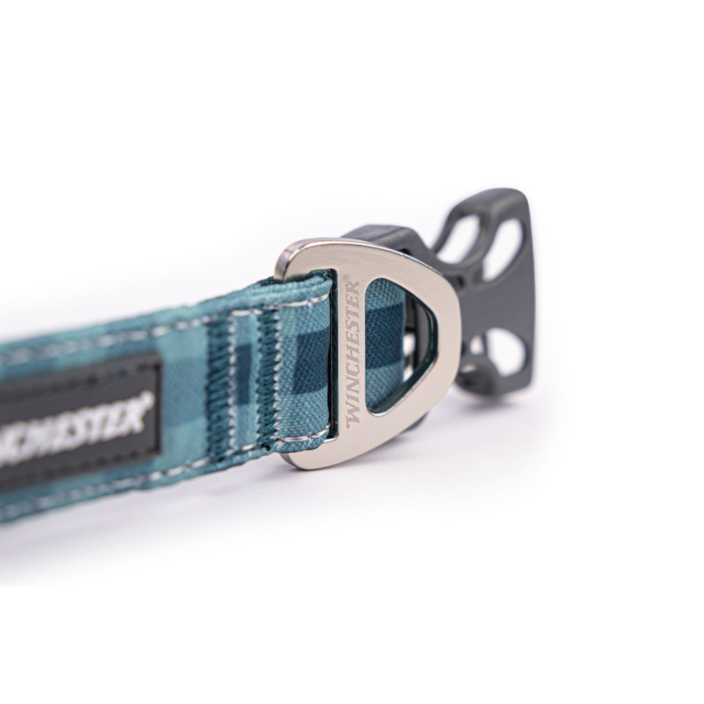 Teal dog collar with metallic buckle on a white background