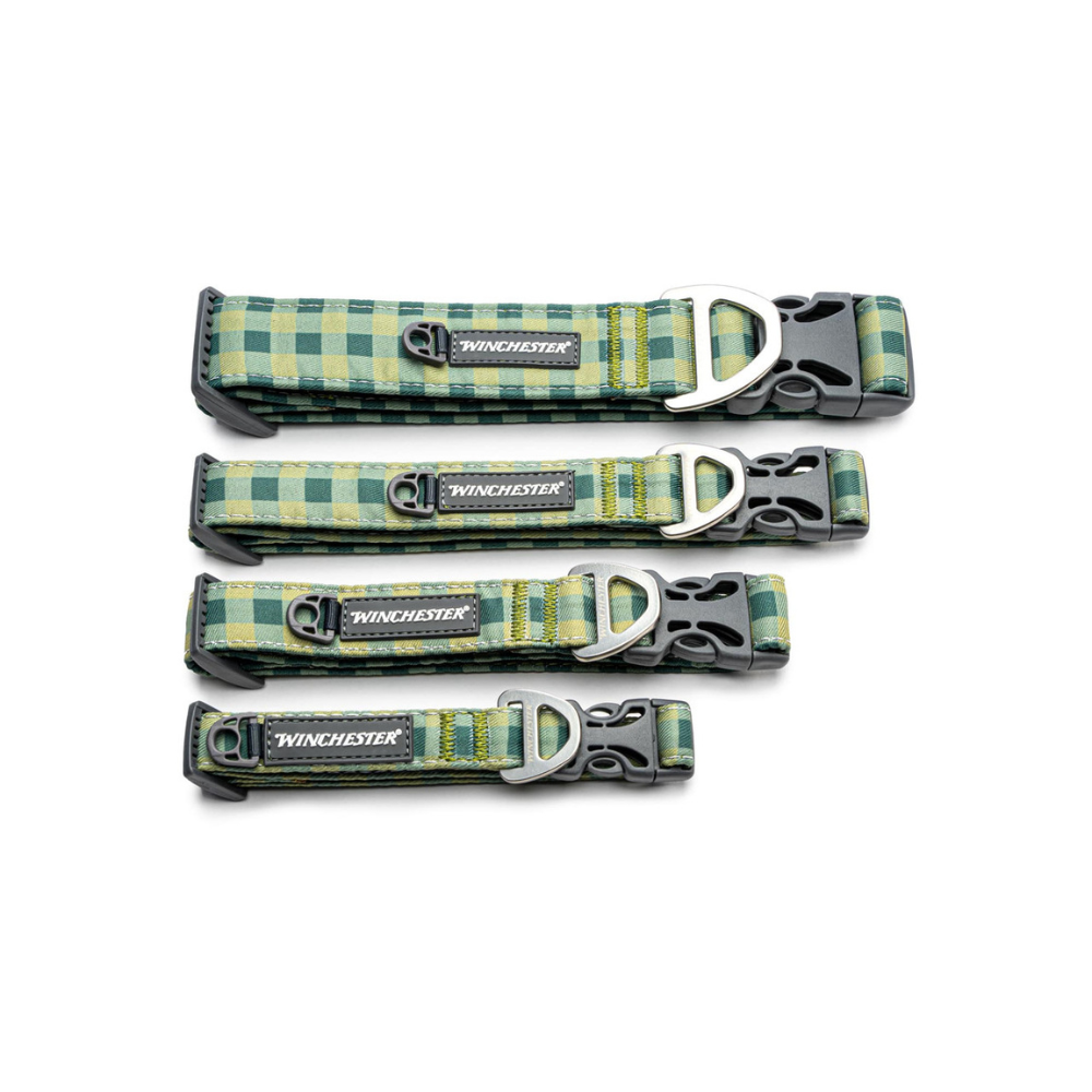 Set of four green checkered dog collars with Winchester branding on a white background
