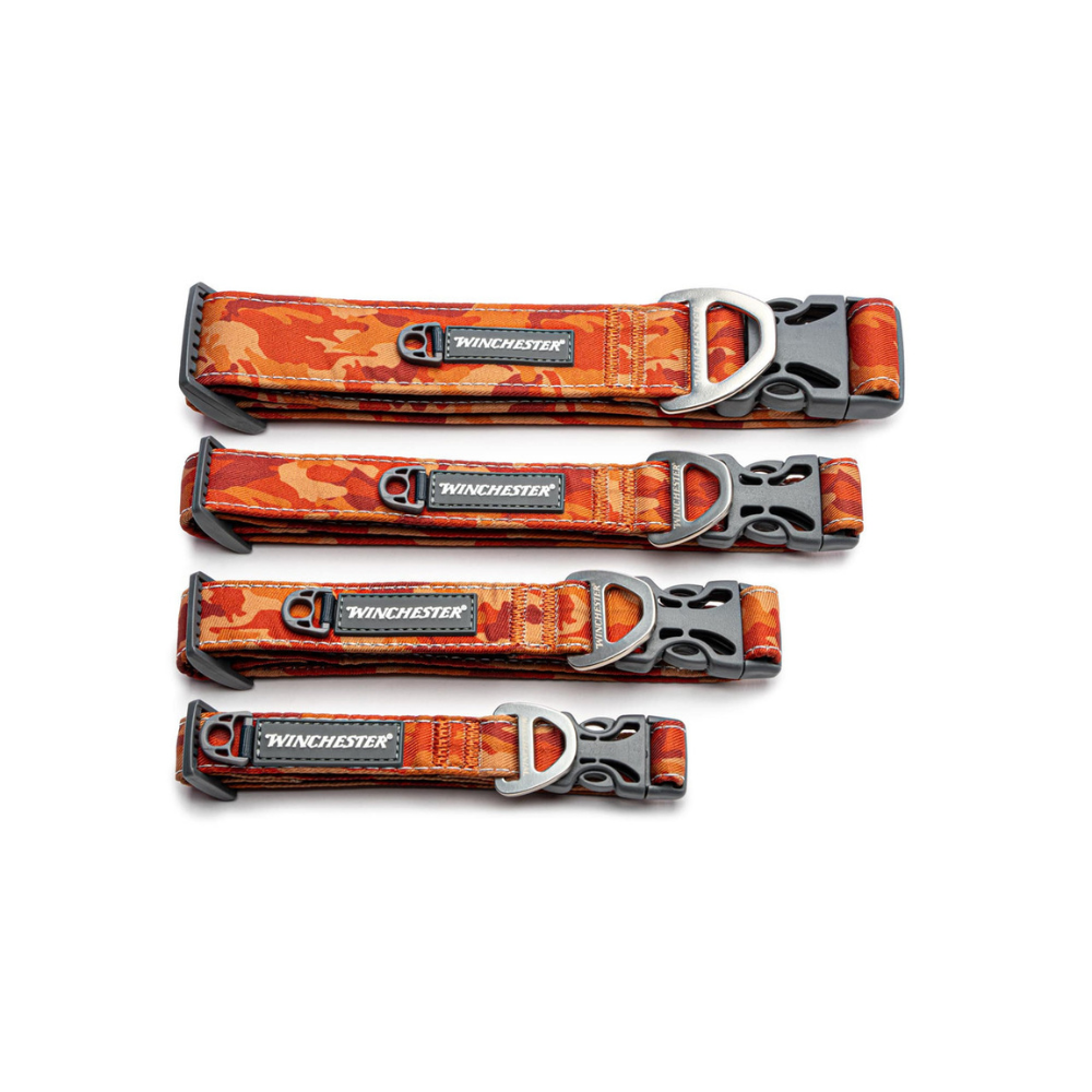 Set of four Winchester dog collars with camouflage pattern on a white background